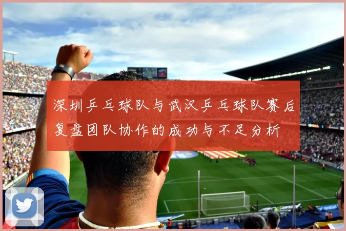 深圳乒乓球队与武汉乒乓球队赛后复盘团队协作的成功与不足分析