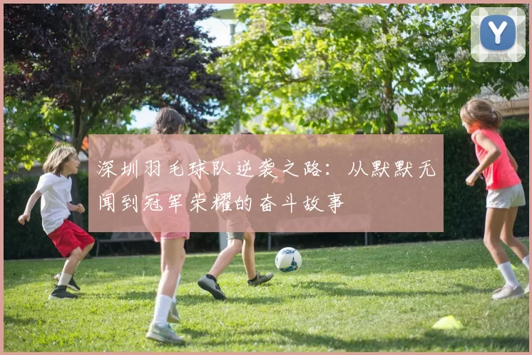 深圳羽毛球队逆袭之路：从默默无闻到冠军荣耀的奋斗故事