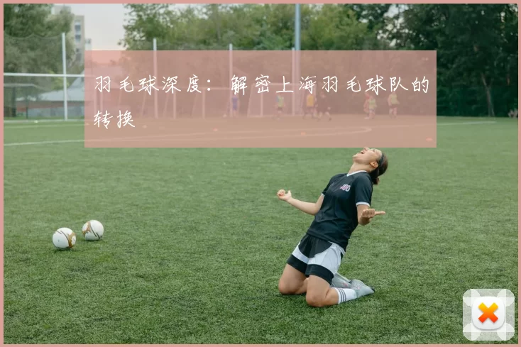 羽毛球深度：解密上海羽毛球队的转换