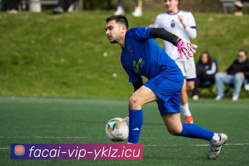 开云体育服务体系